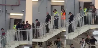 BTS EN LIMA