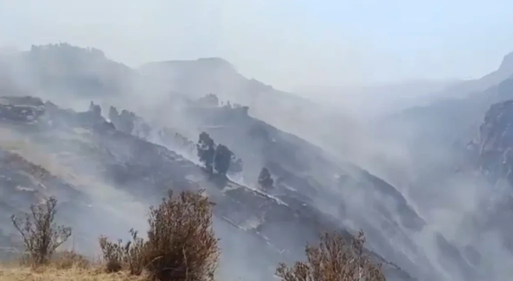 Incendios forestales en Perú