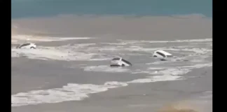 Inundaciones en México