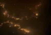 incendio forestal peru