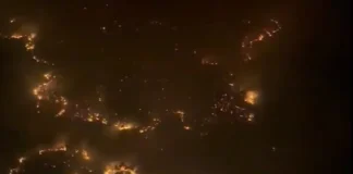 Incendio forestal en Perú: más de mil hectáreas arrasadas en Río Tambo y comunidades asháninkas en peligro incendio forestal peru
