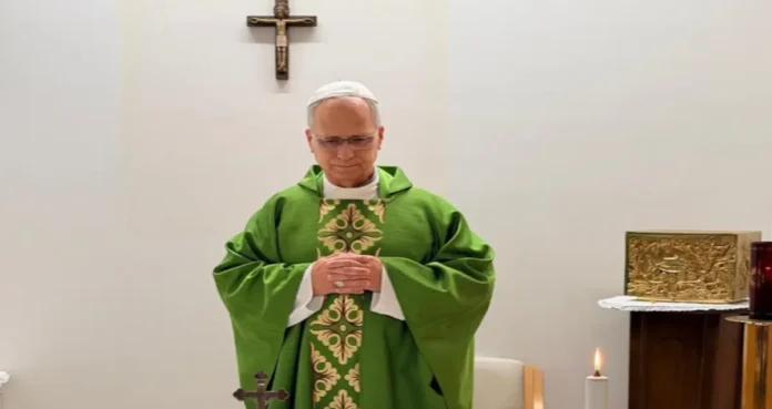 papa leon papa leon