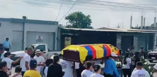 siameses del ecuador